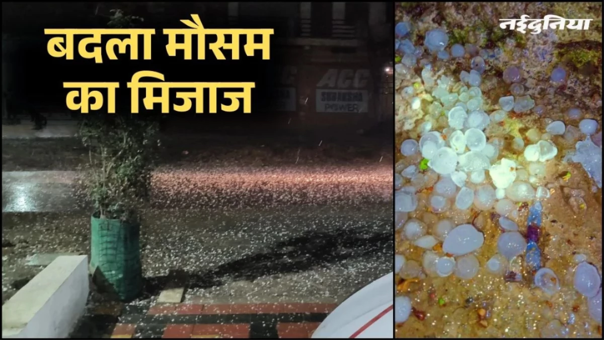 MP Weather Alert: घने कोहरे, बारिश और ओलावृष्टि की चपेट में मध्य प्रदेश, ग्वालियर-चंबल सहित कई संभागों में अलर्ट