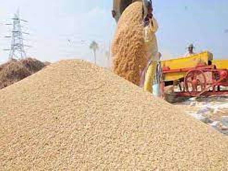मध्‍य प्रदेश में 17 लाख किसानों ने समर्थन मूल्य पर गेहूं बेचने के लिए कराया पंजीयन