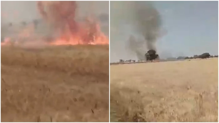 देवास की अंतिम सीमा के गांव नांदला में बिजली लाइन से निकली चिंगारी से 20 बीघा से अधिक की गेहूं फ़सल की खाक