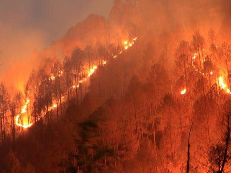 Uttarakhand forest fire spread in four district in last 24 hours - उत्तराखंड  के जंगलों में भीषण आग 4 जिले प्रभावित हजारों एकड़ वन जलकर खाक