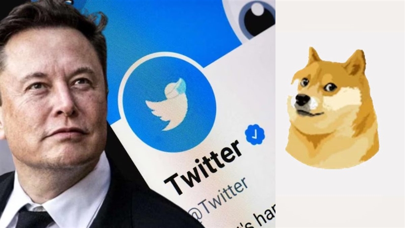 Twitter Logo Changed: Blue bird disappeared from Twitter, Elon Musk ...