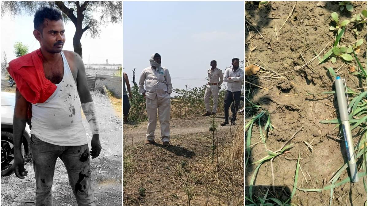 तेंदुआ झपटा तो भिड़ गए युवक, बहादुरी से मुकाबला कर बचाई अपनी जान; महू के पास हुईं दो घटनाएं