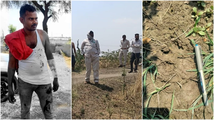 तेंदुआ झपटा तो भिड़ गए युवक, बहादुरी से मुकाबला कर बचाई अपनी जान; महू के पास हुईं दो घटनाएं