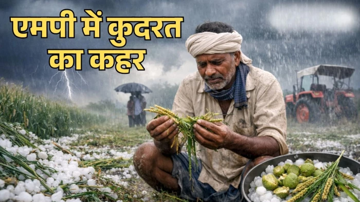 MP में कुदरत का कहर, ओलावृष्टि और बारिश से फसलों को नुकसान, अगले 48 घंटे के लिए मौसम विभाग का अलर्ट जारी