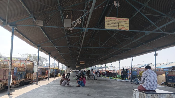 मध्य प्रदेश में समर्थन मूल्य पर गेहूं की खरीदी का अभी भी इंतजार, किसानों में आक्रोश