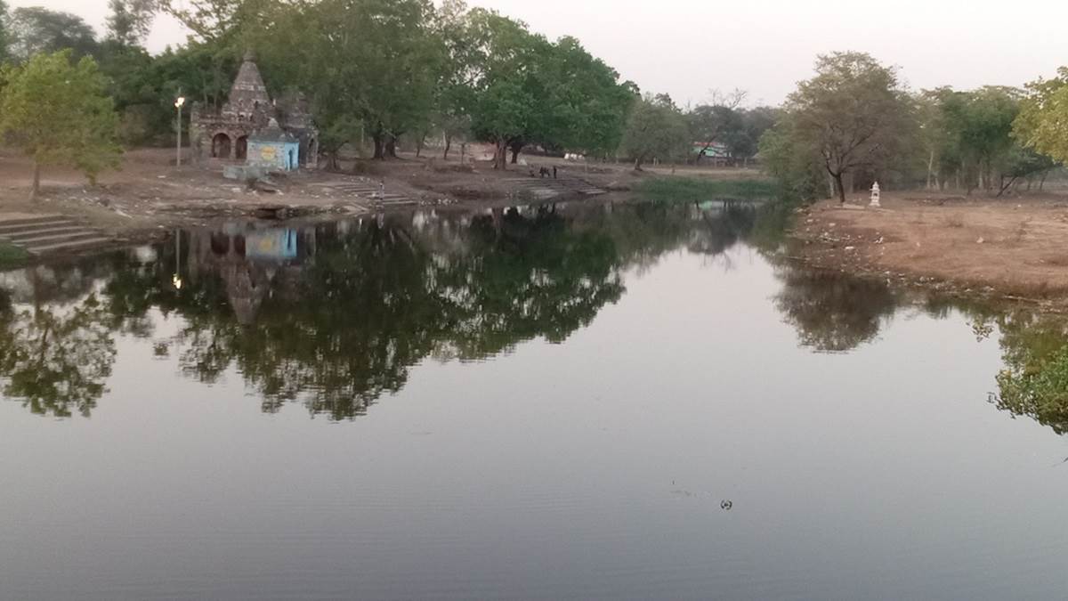 Janjgir Champa News: हसदेव बांगो के नहर से नदी व नालों में पहुंचा पानी, तालाब हुआ लबालब