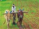 MP News: Farmers will remove the economic plight from Corona, more than 24 thousand crores in pocket