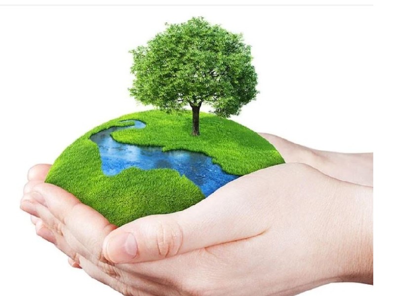World Environment Day 2021: क्यों मनाया जाता है विश्व पर्यावरण दिवस कब हुई इसकी शुरुआत और क्या है इस बार की थीम - World Environment Day 2021 Why World Environment Day is