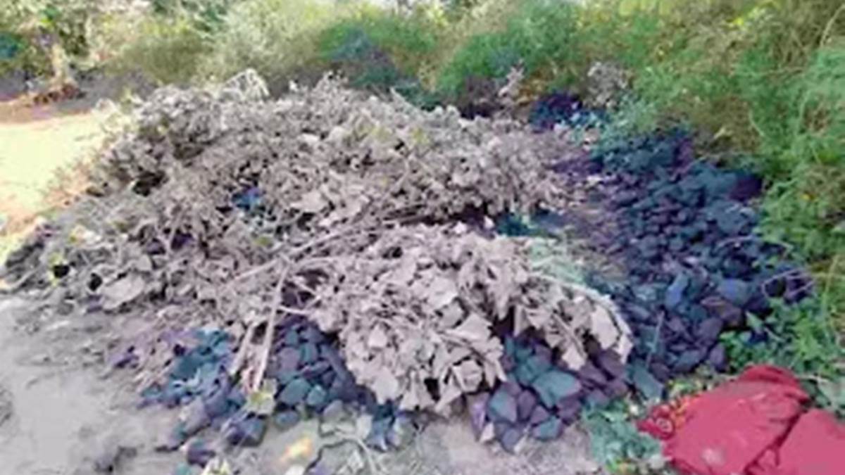 Anuppur News: छिपाकर रखे 37 टन अवैध कोयले को पुलिस ने किया जब्त