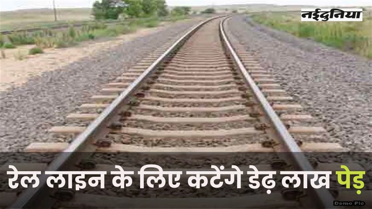 MP News: रेल लाइन के लिए कटेंगे डेढ़ लाख पेड़, महू से मुख्तियारा बलवाड़ा के बीच बिछेगी पटरी