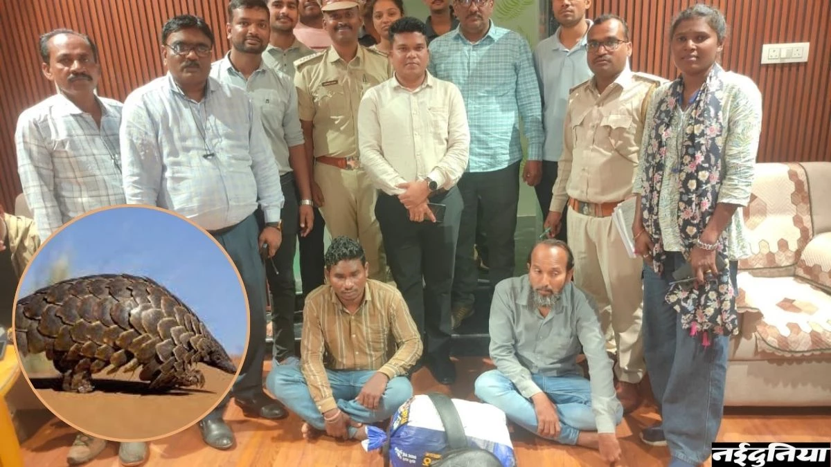 Bijapur News: 13 किलो पैंगोलिन स्केल्स के साथ 2 तस्कर गिरफ्तार, आनोखा है यह जीव, जाने कैसे