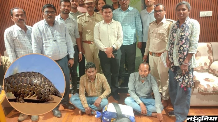 Bijapur News: 13 किलो पैंगोलिन स्केल्स के साथ 2 तस्कर गिरफ्तार, आनोखा है यह जीव, जाने कैसे