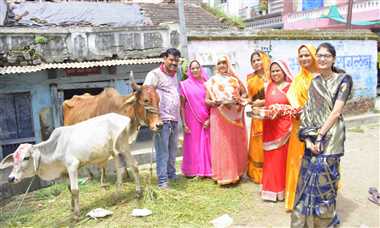 बच्छ बारस पर गाय और बछड़े की पूजा, महिलाओं ने की प्रार्थनाएं - Sarangpur News