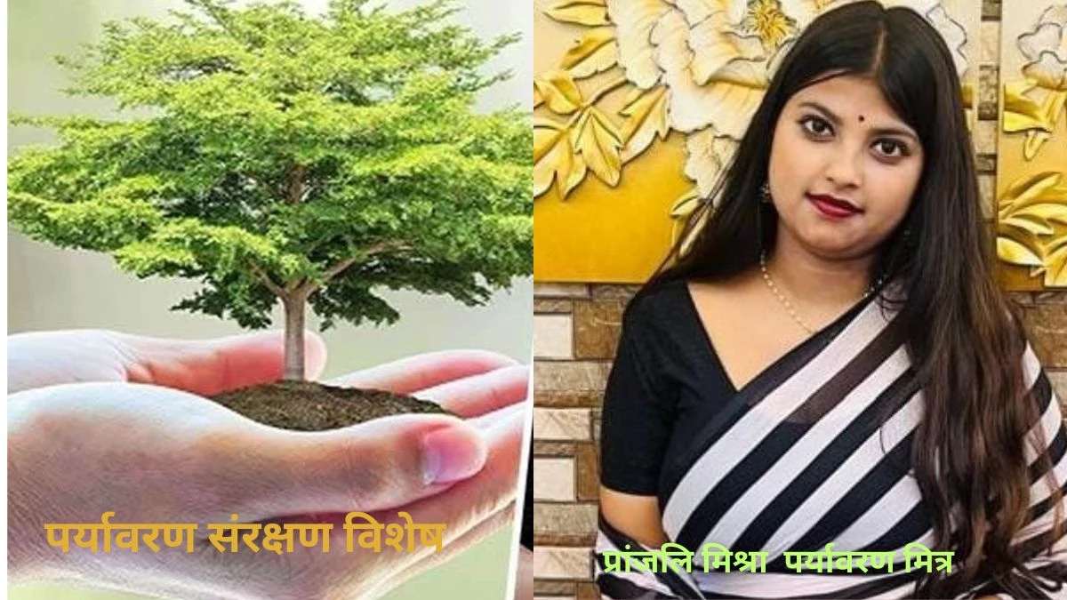 पर्यावरण संरक्षण विशेष: कागज की खपत कम करें, वृक्ष बचाये