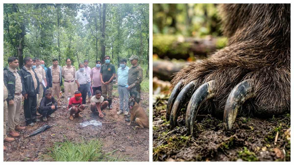 अंधविश्वास का खौफनाक खेल, भालू के नाखून से बनाते थे ताबीज, जानिए कैसे स्निफर डॉगी ने खोला राज