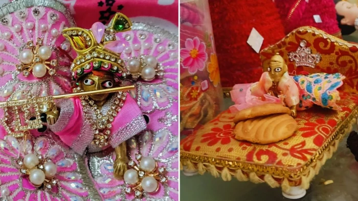 ग्वालियर में छह महीने से लापता लड्डू-गोपाल... IG ने बनाई SIT, पुलिस ने खूब तलाशा, फिर भी नहीं मिले; जन्माष्टमी पर विजया को अपने कान्हा का इंतजार