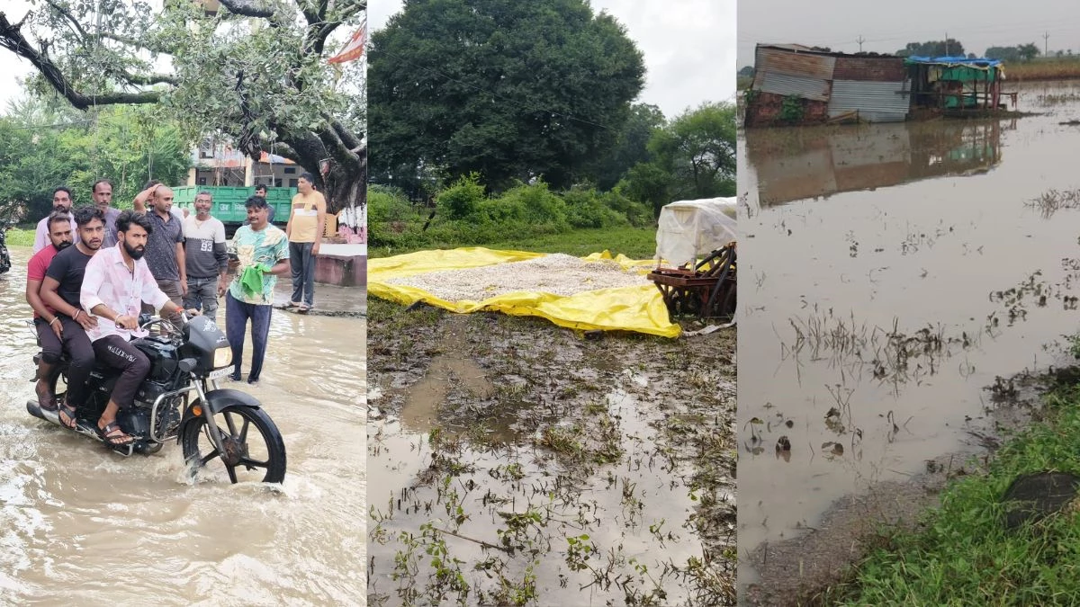 MP Heavy Rain: नालछा-बाछनपुर में तांडव मचा रही बारिश, गांवों में घुसा पानी; करोड़ों की फसल बर्बाद