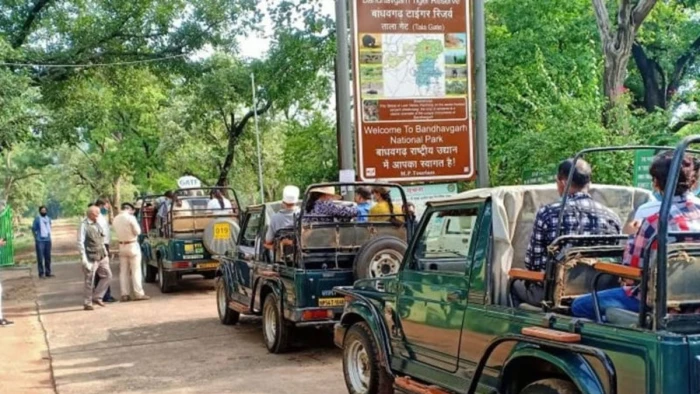 MP Tiger Reserve Safari Update:'बघीरा एप' पर अब पर्यटक भी देंगे फीडबैक; बिना नेटवर्क दर्ज होगी सफारी गाड़ी की स्पीड, लोकेशन और स्टॉप