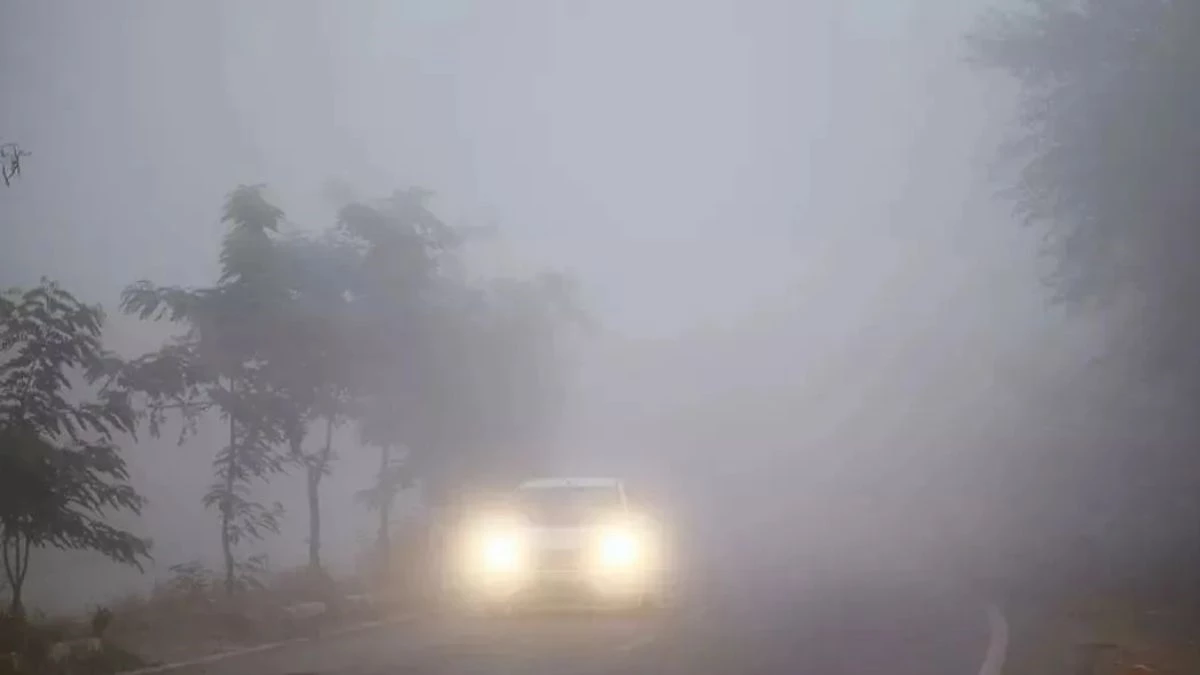 Weather Update: पहाड़ों पर बर्फबारी तेज, कई राज्यों में शीतलहर का बढ़ेगा प्रकोप, दक्षिण में भारी बारिश का अलर्ट