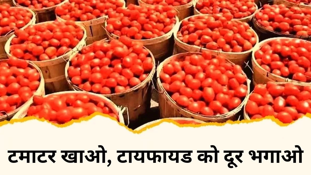 Typhoid से दूर रहना है तो रोज खाएं टमाटर… अमेरिकन सोसायटी फॉर माइक्रोबायोलॉजी के शोध में खुलासा
