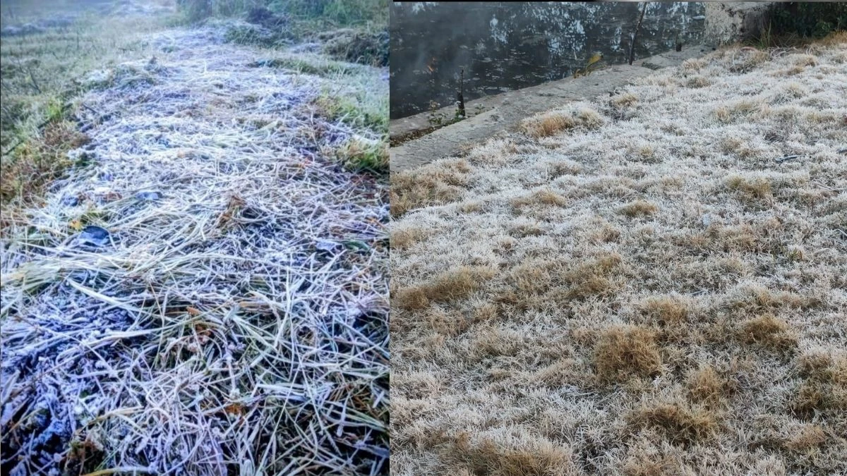 अमरकंटक में शीतलहर का प्रकोप... मैदान से पहाड़ियों तक जमी बर्फ, नजारा शिमला-मनाली जैसा