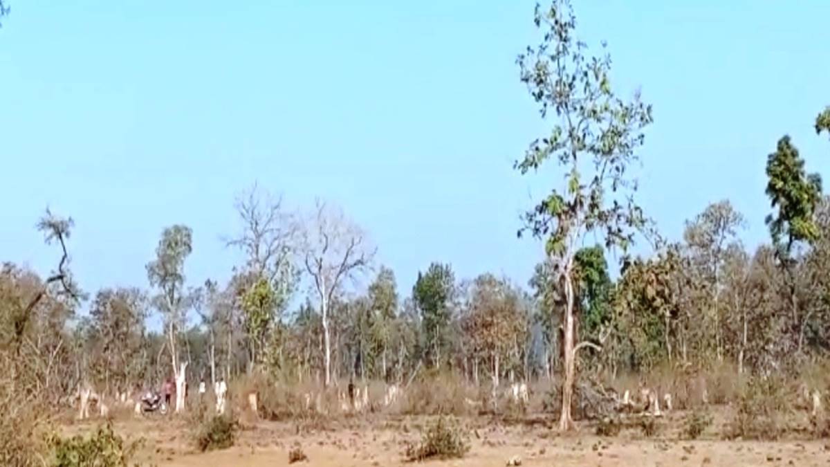 Burhanpur Crime News: बंदूक और कुल्हाड़ी लेकर घाघरला के जंगल में घुसे पचास अतिक्रमणकारी