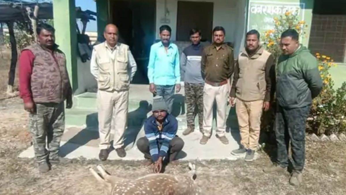 Bandhavgarh Tiger Reserve: बांधवगढ़ के जंगल में शिकार के लिए फायरिंग, चीतल को मार गिराया, एक गिरफ्तार, चार फरार