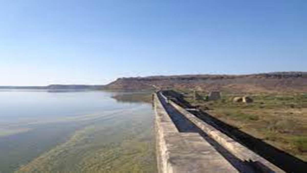 Gwalior Tighra Dam News: मार्च-अप्रैल में सुधारेंगे तिघरा के लीकेज, मई में शटडाउन