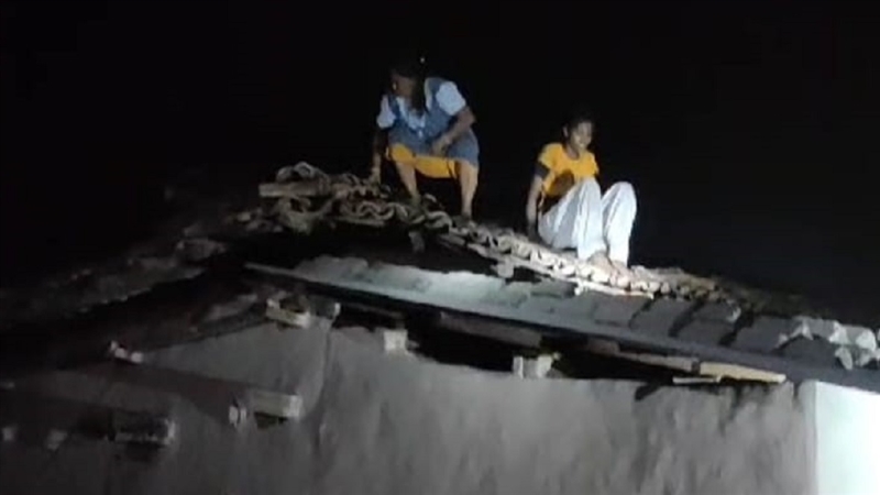 Korba wildlife News: बाड़ी में केला खाने आए हाथी को देख जान बचाने खपरैल पर चढ़ा परिवार