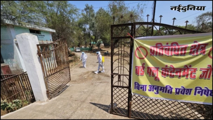 बिलासपुर में बर्ड फ्लू के बाद शुद्धिकरण पूरा, 30 हजार मुर्गियों के खात्मे के बाद कोनी परिक्षेत्र सैनिटाइज