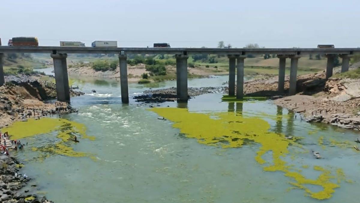 Narmada in Narsinghpur नर्मदा की स्चच्छता पर ग्रहण लगा रही हिरन नदी