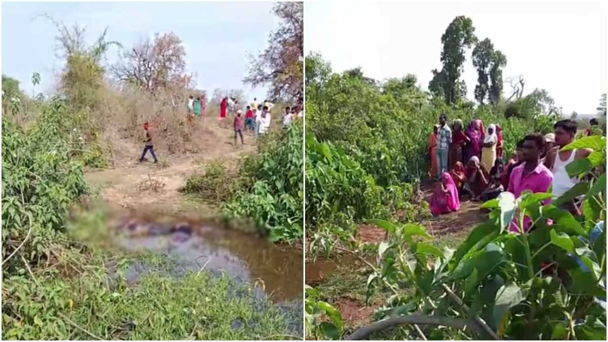 Umaria News: To save vegetables from wild animals, the current spread in the field, two youths lost their lives