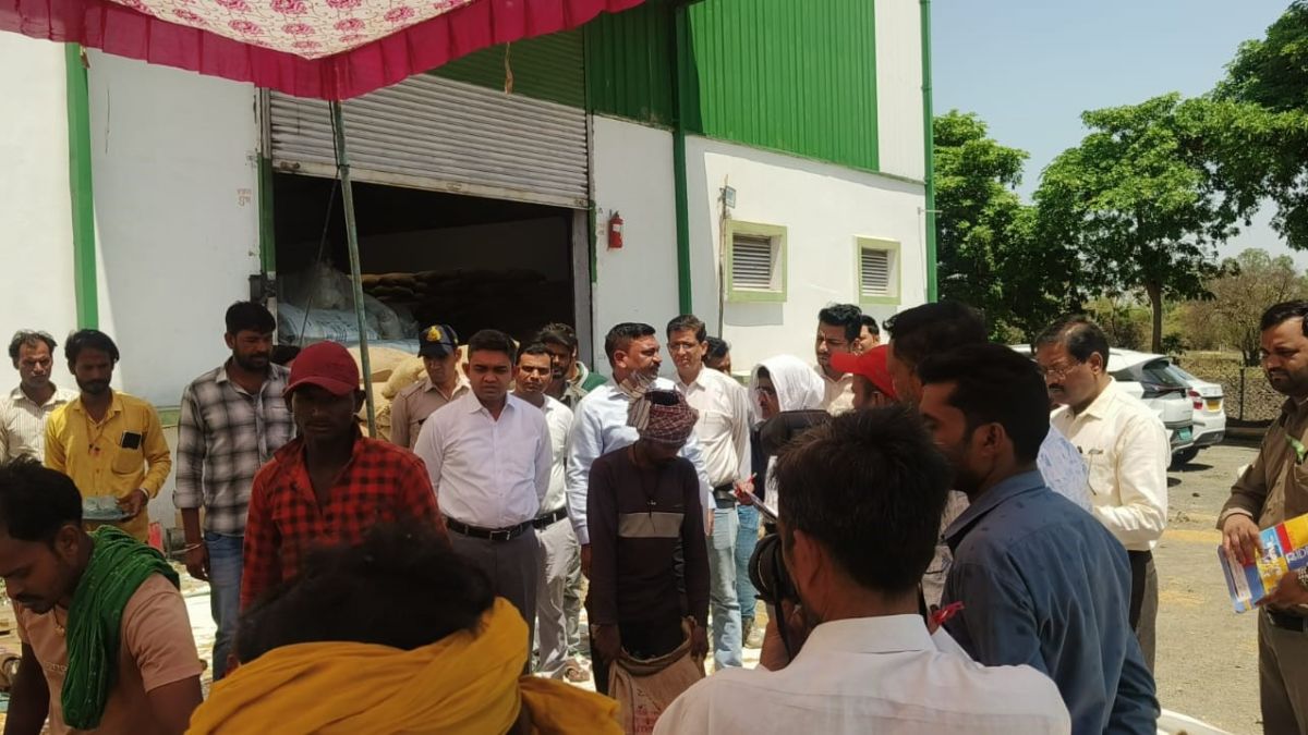 भोपाल में गेहूं उपार्जन में गड़बड़ी... बिना अनुमति दूसरे वेयर हाउस पर खरीदी, कलेक्टर ने बैरसिया में परखीं व्यवस्थाएं