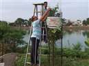 World Environment Day 2021: Vine trees planted on the banks of the pond, give attendance every day for guarding