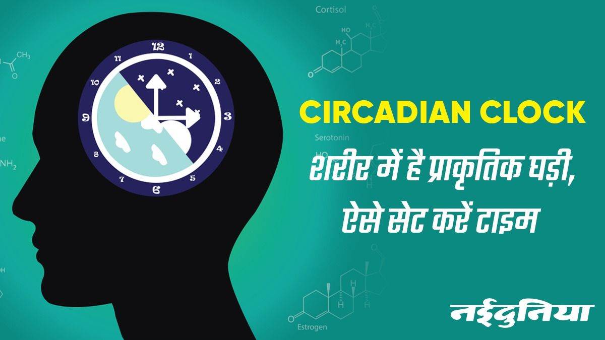 Circadian Clock शरीर में फिट जैविक घड़ी ऐसे करती है काम, जानें पहली