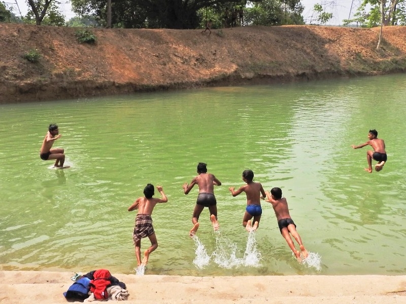 swimming in ponds