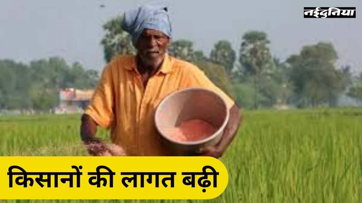 CG DAP Crisis: खाद की 70% कमी से किसानों की लागत 55 % बढ़ी, महंगी कीमतों पर हो रही कालाबाजारी