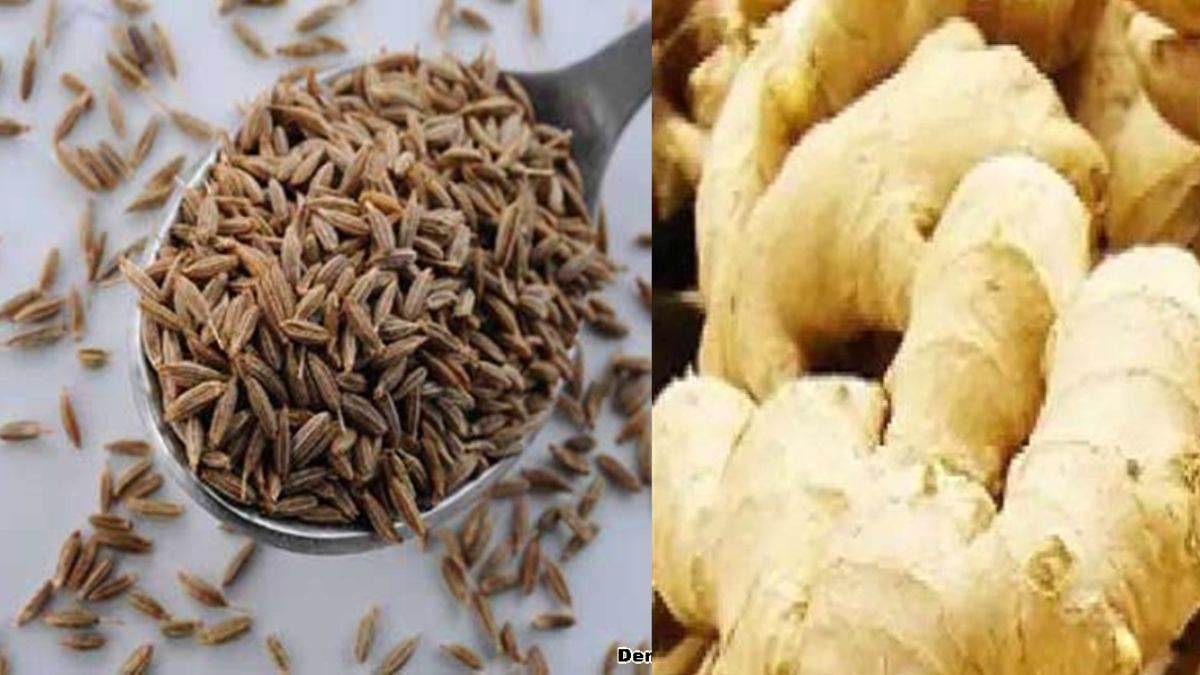 Sagar News: अदरक के भाव ने चाय का स्वाद बिगाड़ा, तीन महीने में तीन गुना ...