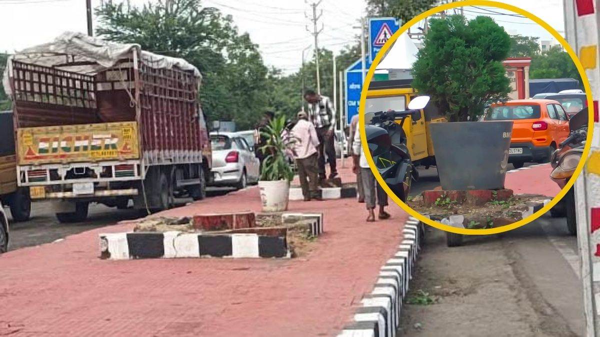 भोपाल में 'पेड़ काटकर ठूंठ पर सजाया गमला': ब्रिक्स सम्मेलन में विदेशी मेहमानों को 'नकली हरियाली' दिखाने की कवायद
