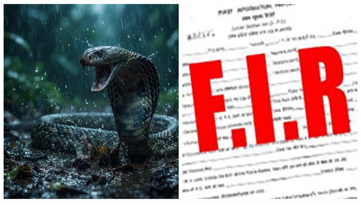 सर्पदंश मुआवजा फर्जीवाड़ा: 15 एफआईआर के बाद भी जांच धीमी, फोरेंसिक रिपोर्ट का इंतजार