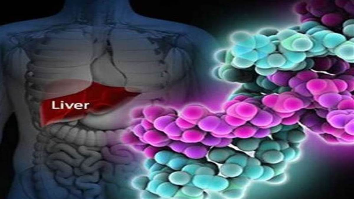 Chronic hepatitis B कहीं बारबार थकान तो नहीं हो रही, हो सकती है ये