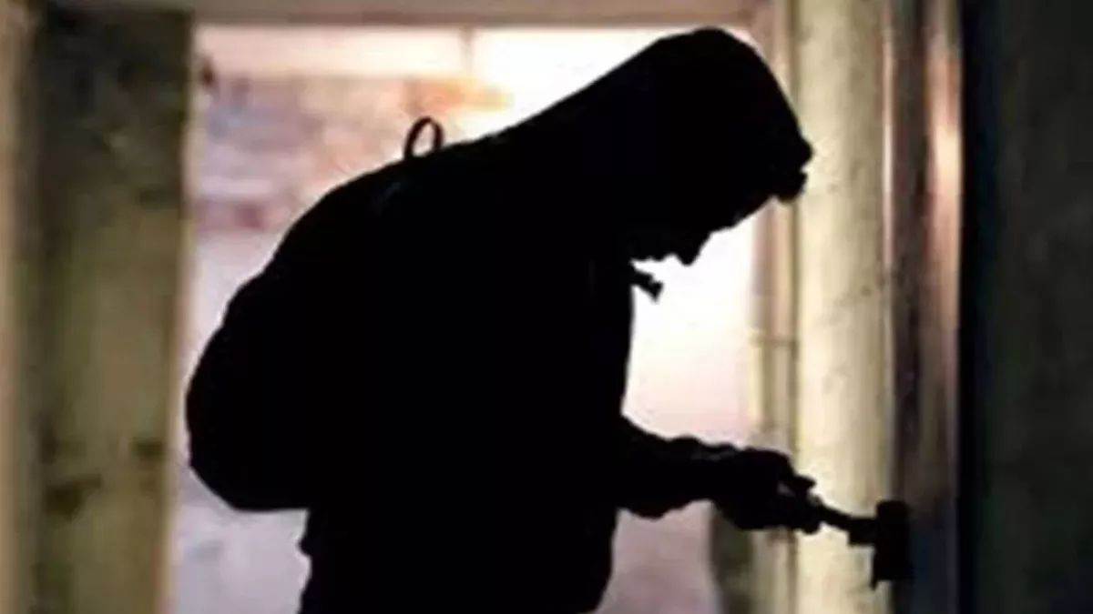 यूपी में दिखा अनोखा चोर, जो गहने-नकदी की जगह चुराता है यह चीज, CCTV ने पकड़ी करतूत
