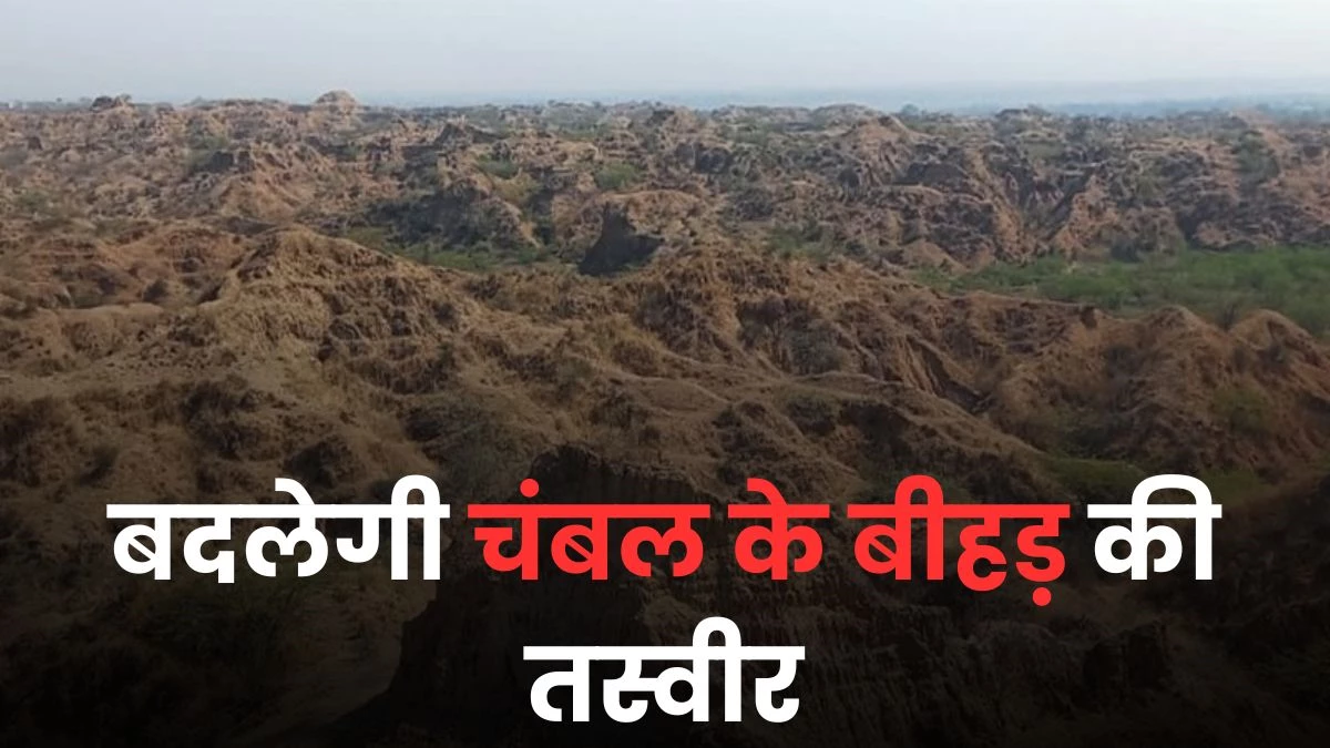 अब बदलेगी चंबल के बीहड़ की तस्वीर, जानें क्या है मध्य प्रदेश सरकार का प्लान