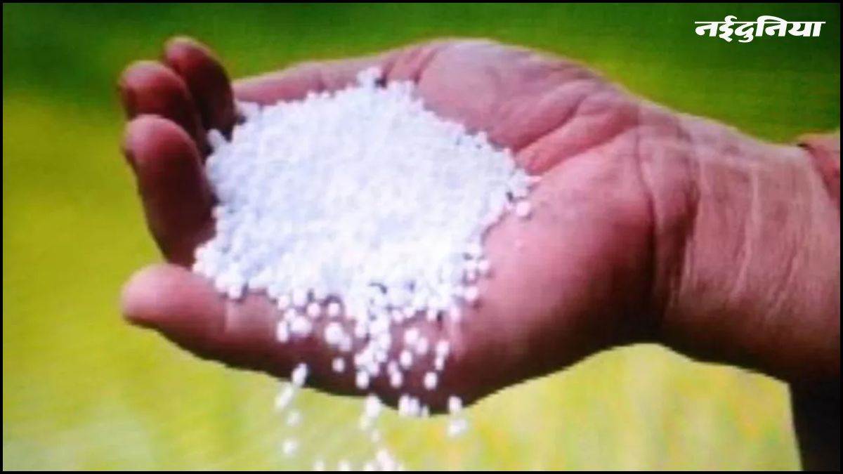 MP में अब किसानों को आसानी से मिलेगी खाद, वितरण के लिए तैयार किया गया है खास App