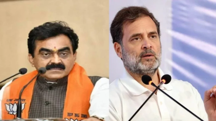राहुल के डिजिटल सत्याग्रह पर राकेश सिंह का तंज- ‘Work From Home’ आंदोलन, बोले- सड़क पर उतरने से होता है संघर्ष