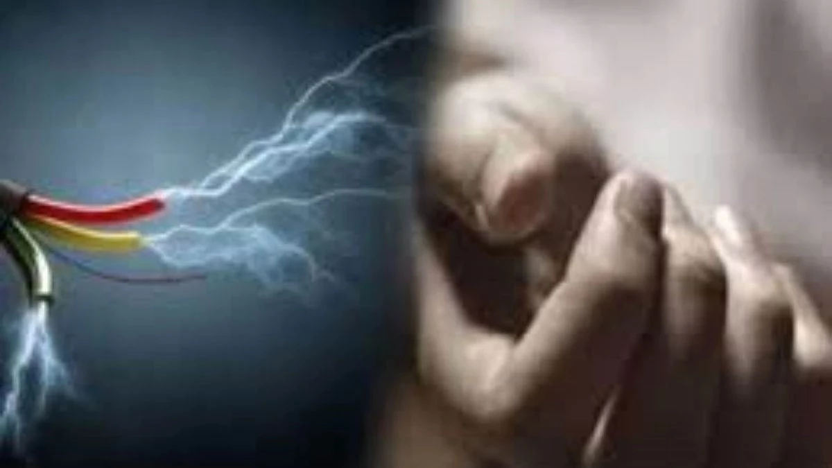 बिलासपुर में करंट से हो गई युवक की मौत, शिकारियों ने मामला दबाने जंगल में जला दी लाश