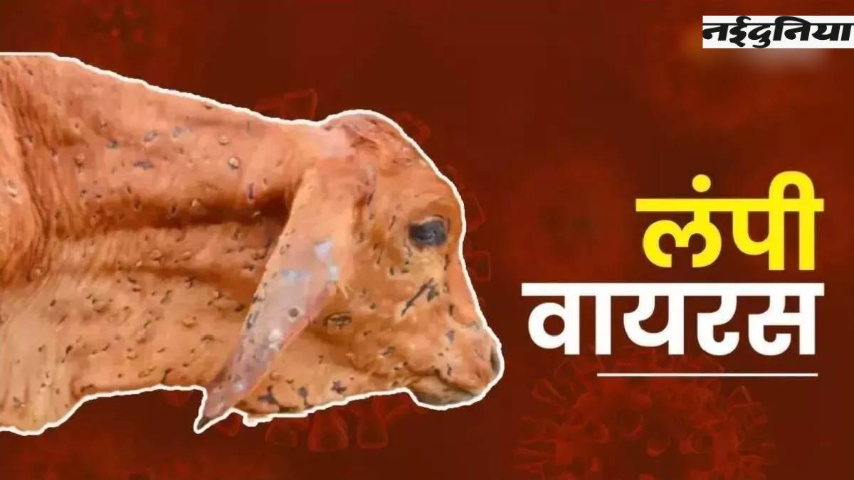 MP: सात जिलों में लंपी वायरस का संक्रमण, पशुपालन विभाग ने जारी किया अलर्ट
