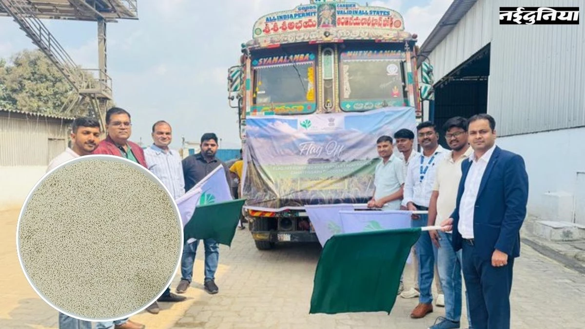 छत्तीसगढ़ से सेंट्रल अमेरिका के इस खूबसूरत देश में निर्यात हुई 'खास चावल' की पहली खेप, जानिए क्या है खासियत