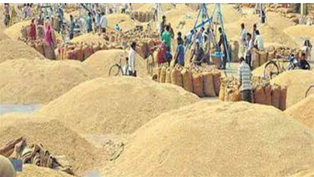 Jabalpur News : सात दिनों में महज साढ़े सात करोड़ की धान-खरीदी, उपार्जन लक्ष्य 4.8 लाख टन चालू भी नहीं हो पाए पूरे केंद्र