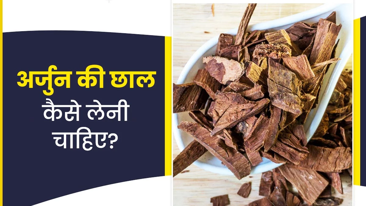 Arjun ki Chaal: इन 3 तरीकों से करें अर्जुन की छाल का सेवन, दिल की बीमारियां रहेंगी कोसों दूर